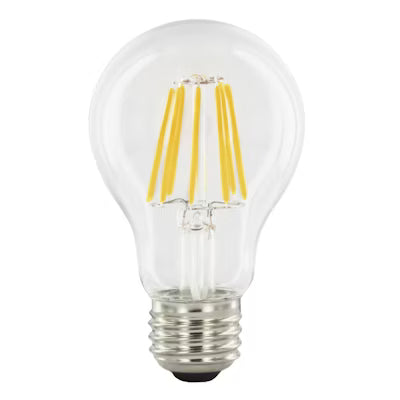Envision LED Filament A19 Bulb Low Voltage, LED-FLM-A19-4W-30K-12V