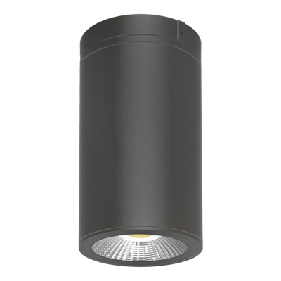 RAB Lighting CD34 Cylinder Light, 20W, RGB 2200K-6500K, CRI90, Surface/Pendant, Bronze, CD34-4SPZ/RGB
