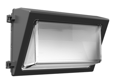 RAB Lighting WP2 Wall Pack, 35/45/60W, CCT Selectable, 120-277V, Field-Adjustable, LightCloud, Bronze, WP2XFU60/LC