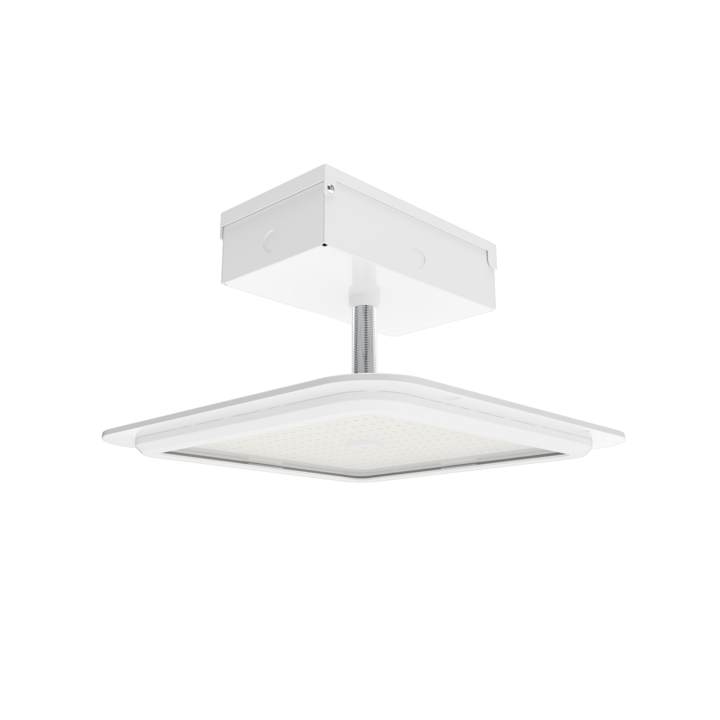 RAB Lighting MASI, 100/80/60W, CCT Selectable, 480V, 16 In., White, MASI16L/480
