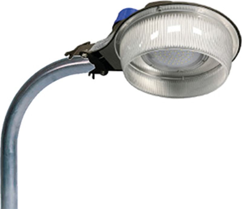 Westgate Mfg LR2 Area Light, 50W, 5000K, IP65, Photocell, Dark Bronze, LR2-50CW-P