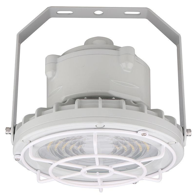 Westgate Mfg EXPR Flat Wire Guard, 30–60W, EXPR-30-60W-WGF