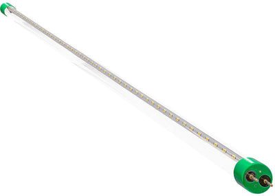 Westgate Mfg T8 LED Lamp, 4 ft., 18W, 3000K, Clear Glass, T8-EZ6-GS-4FT-18W-30K-C