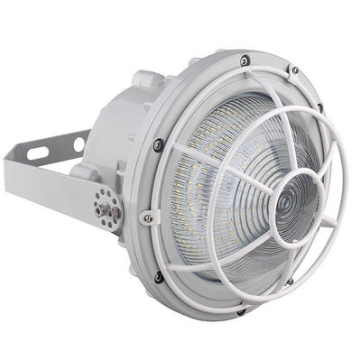 Westgate Mfg EXPR Dome Wire Guard, 30–60W, EXPR-30-60W-WGD