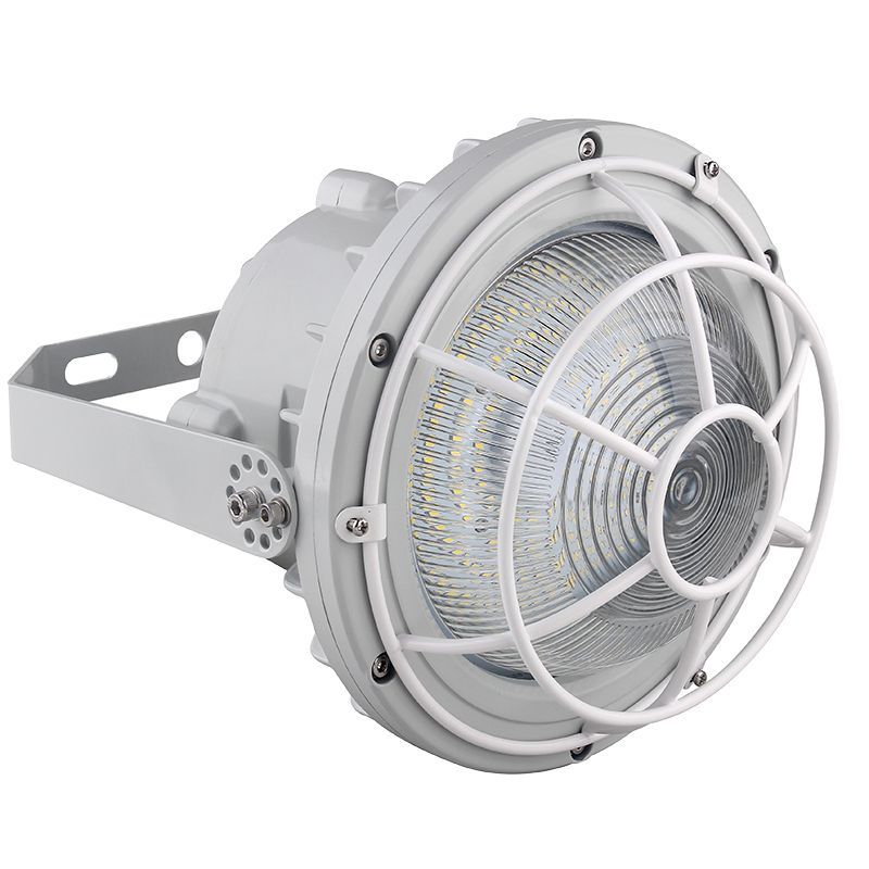 Westgate Mfg EXPR Dome Wire Guard, 30–60W, EXPR-30-60W-WGD