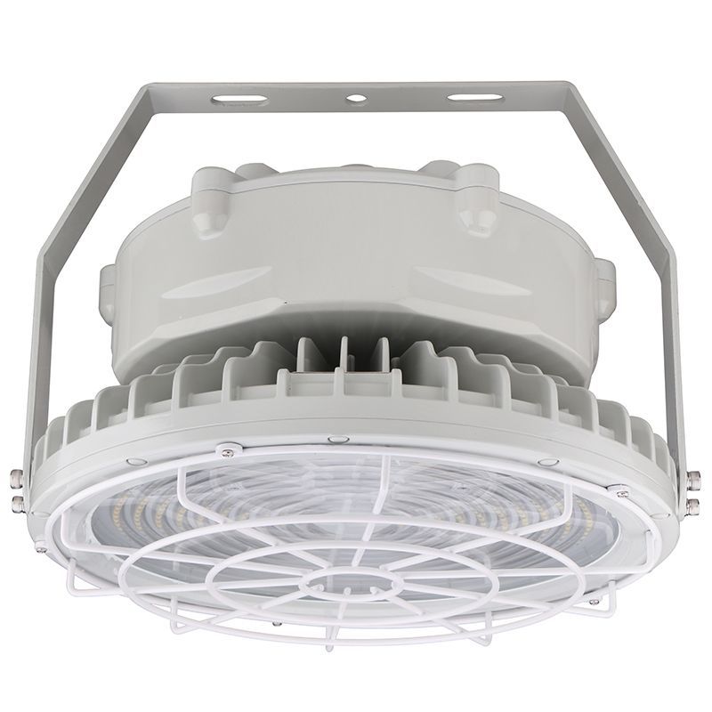 Westgate Mfg Flat Wire Guard for EXPR 100–150W, EXPR-100-150W-WGF