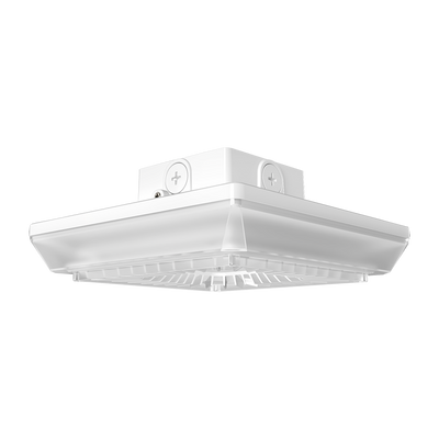 RAB Lighting PORTO, 55/42/30W, CCT Selectable, Photocell, White, PRT55SW