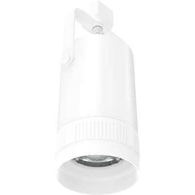 RAB Lighting TRACK22 Track Light Large, 30/25/20W, CCT Selectable, White, TK22L