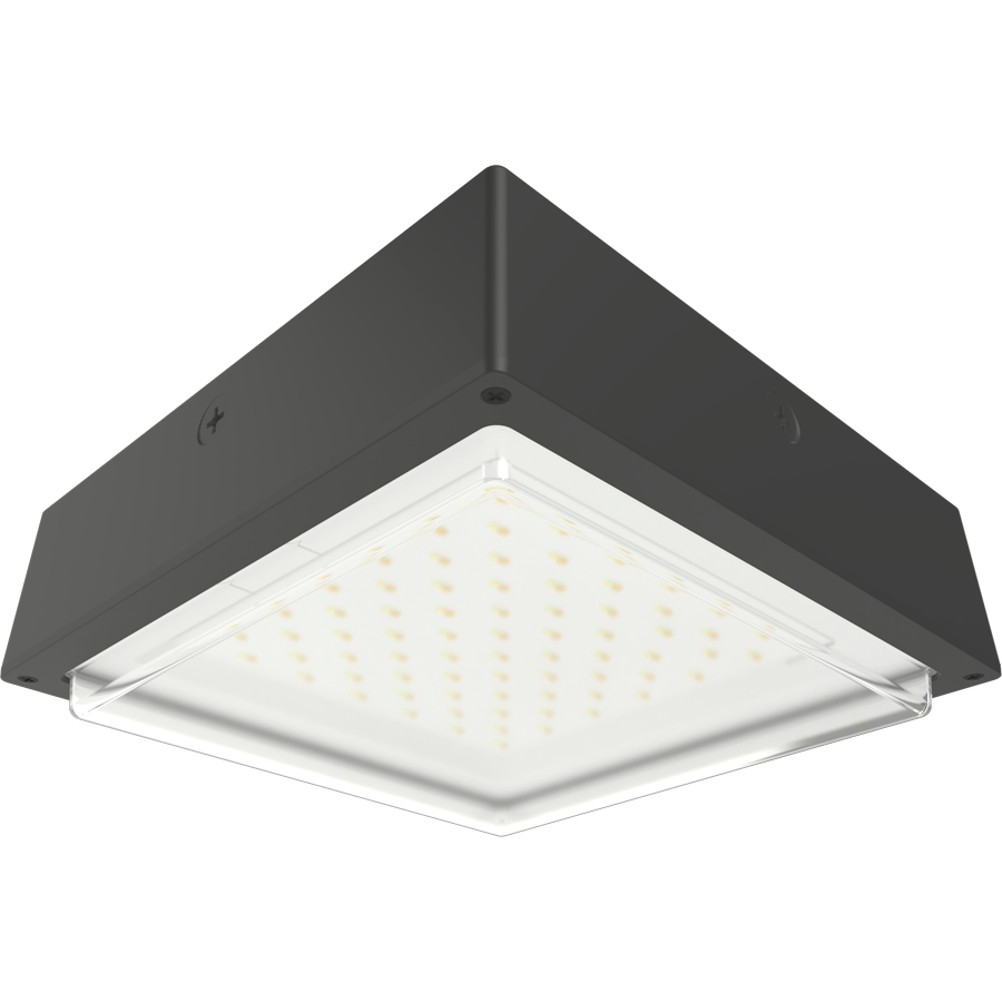 RAB Lighting VAN34 Canopy Light, 30/20/10W, CCT Selectable, Battery Backup, Bronze, VAN34-30/E