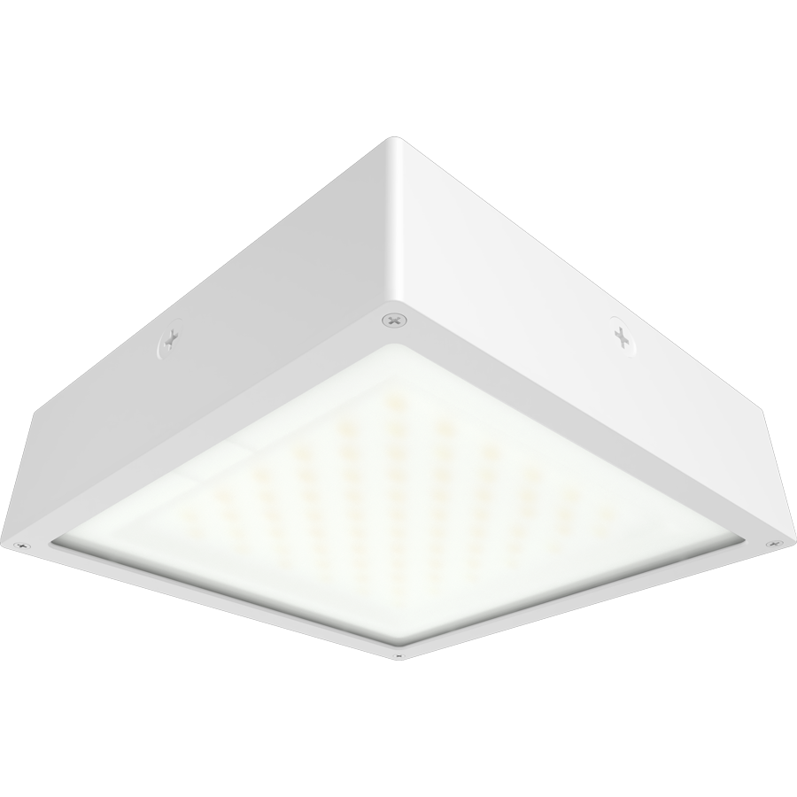 RAB Lighting VAN34 Canopy Light, 30/20/10W, CCT Selectable, 480V, White, VAN34-30FFRW/480