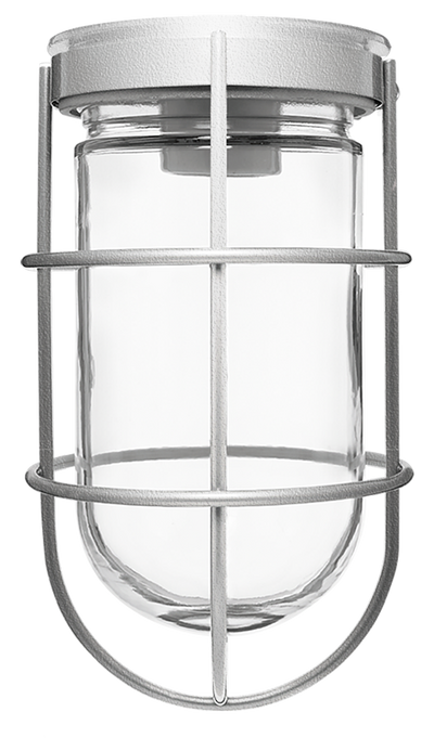 RAB Lighting VC100 Vaporproof Ceiling Fixture, 100W, A19, Wire Guard, Natural, VC100G