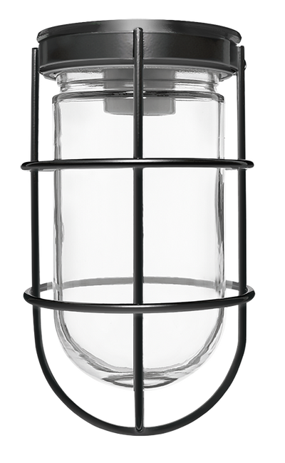 RAB Lighting VC100 Vaporproof Ceiling Fixture, 100W, A19, Wire Guard, Black, VC100GB