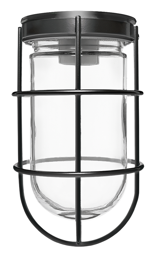 RAB Lighting VC100 Vaporproof Ceiling Fixture, 100W, A19, Wire Guard, Black, VC100GB