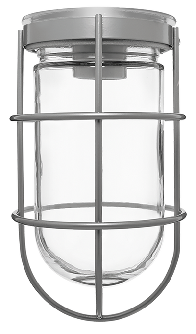 RAB Lighting VC100 Vaporproof Ceiling Fixture, 100W, A19, Wire Guard, Silver, VC100GS