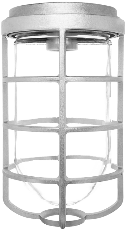RAB Lighting VC200 Vaporproof Ceiling Light, 150W, A19 Lamp, Glass Globe, Cast Guard, Natural, VC200DG