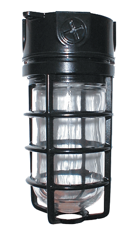 RAB Lighting Vaporproof 100 Ceiling Fixture, A21 Lamp, 4 In., 3/4 In., Glass Globe, Die-Cast Guard, Black, VX100DGB-3/4