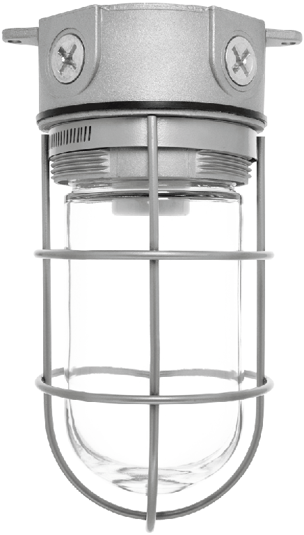 RAB Lighting 150 Watt Ceiling Mount Vaporproof Light Natural 120V, VX100G