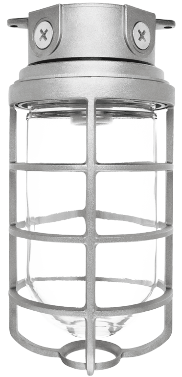 RAB Lighting VX200 Vaporproof Ceiling Fixture, 300W, PS25, 1/2 In. Box, Cast Guard, White, VX200DGW