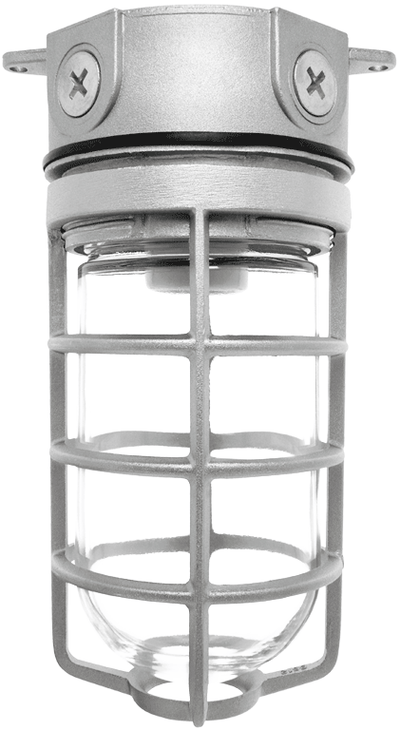 RAB Lighting 150 Watt Ceiling Mount Vaporproof Light Natural 120V, VX100DG