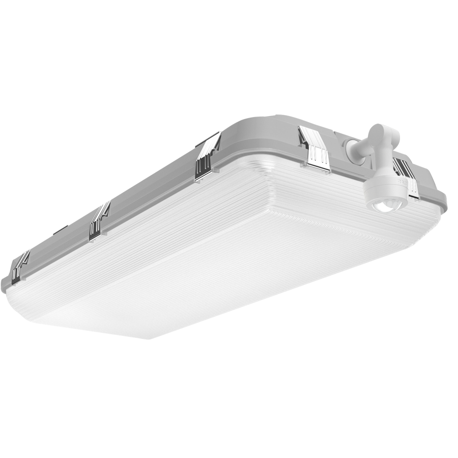 RAB Lighting WHALE 2', 90/75/60W, CCT Selectable, Passive Infrared Sensor, Battery Backup, Gray, WHALE2/PIR/E