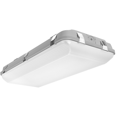 RAB Lighting WHALE 2' High Power, 135/100/70W, CCT Selectable, LightCloud Blue, Passive Infrared Sensor, Battery Backup, Gray, WHALE2H/LCBS/E