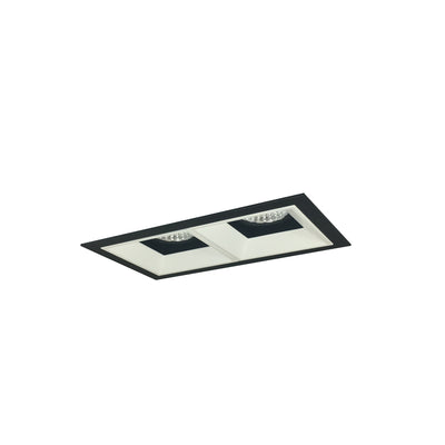 Nora Lighting Iolite MLS 2-Head Trim Kit, Black Flange, 4000K, 1000lm, Black/MPW Fixed Downlt./Wall Wash Trims NMIOT-12-B-FW-40X-10-BMPW