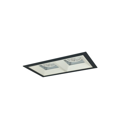 Nora Lighting Iolite MLS 2-Head Trim Kit, Black Flange, 4000K, 1000lm, MPW Fixed Downlt./Wall Wash Trims NMIOT-12-B-FW-40X-10-MPW