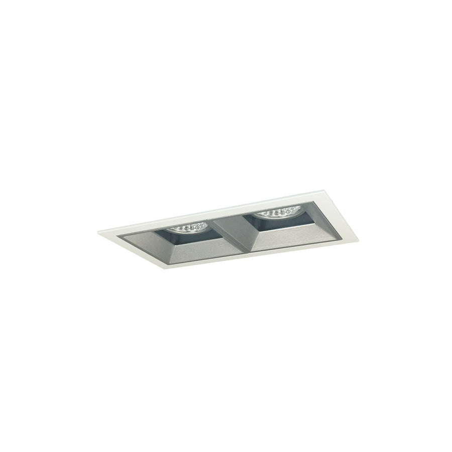 Nora Lighting Iolite MLS 2-Head Trim Kit, MPW Flange, 4000K, 1000lm, Haze Fixed Downlt./Wall Wash Trims NMIOT-12-MPW-FW-40X-10-HZ