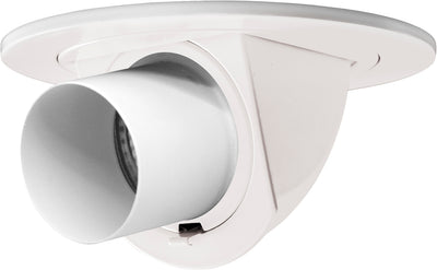 Elco Lighting 4" Adjustable Pull Down with Directional Snoot Trim, Bronze, EL1487B