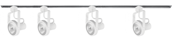 Elco Lighting Builder's Track Kit PAR 30, 4-Fixture, 6 Ft., 120V, Natural, ET630N