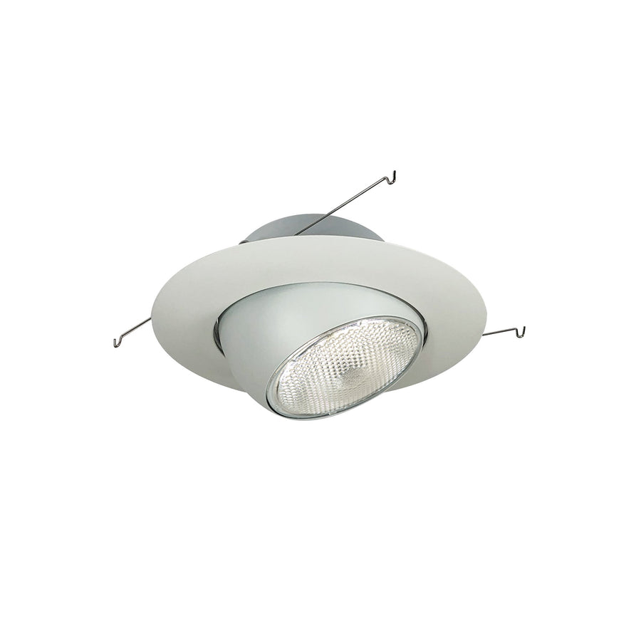 Porter Lighting 6" BR/PAR30 Eyeball with Metal Trim,NT-28