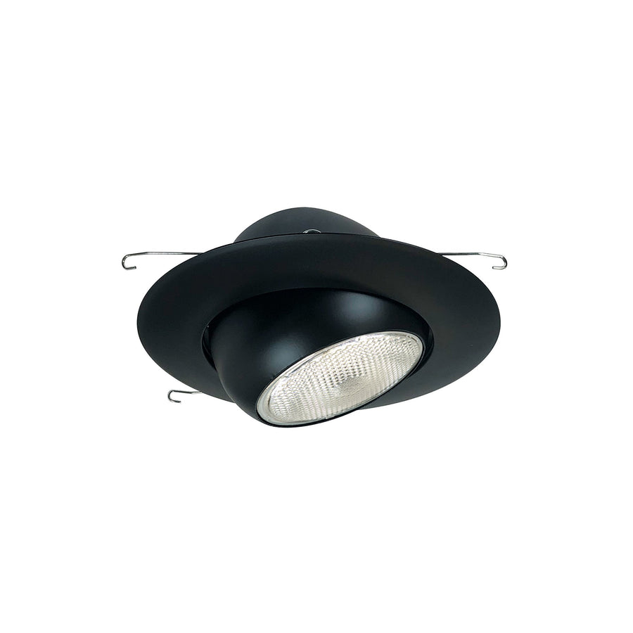 Porter Lighting 6" BR/PAR30 Eyeball with Metal Trim,NT-28