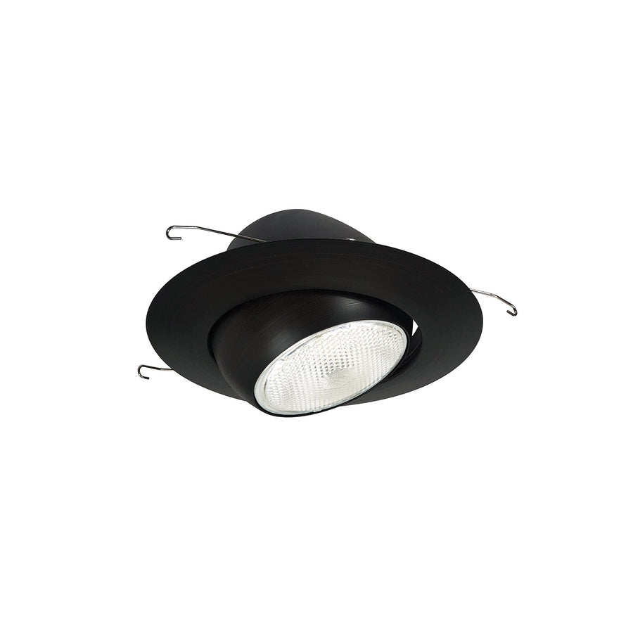 Porter Lighting 6" BR/PAR30 Eyeball with Metal Trim,NT-28