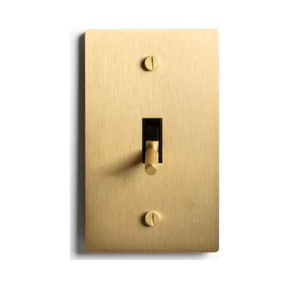 Satin Solid Brass Plated Toggle Switch, 15A 120V AC Wall Mount, 3-Way Compatible Vintage Style Single Pole with Faceplate & Switch Module