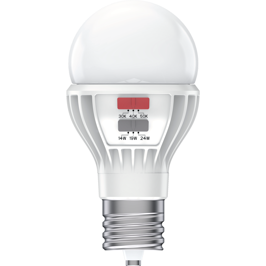 RAB Lighting A23 LED Bulb, 24/21/16W, CCT Selectable, 1,931–3,423 lm, EX39, CRI80, Dimmable, 120-277V, A23-24S-EX39-CCT Selectable-DIM-UNV