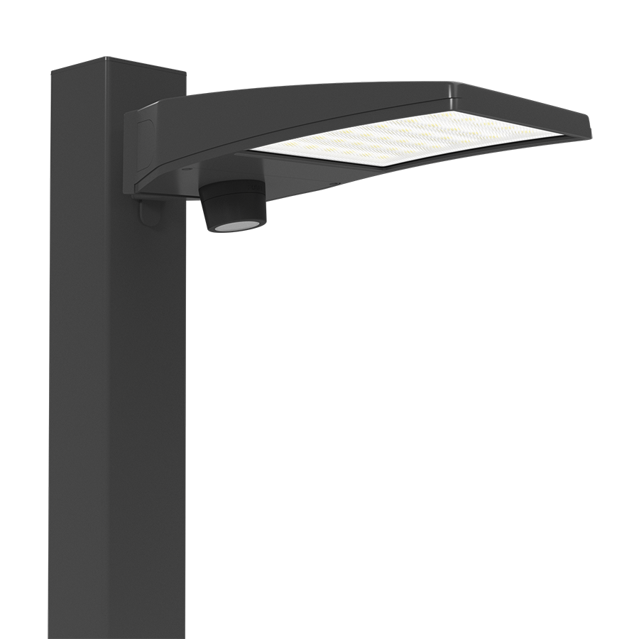 RAB Lighting ALEDXS Area Light, 32/24/16W, CCT Selectable, Adjustable Photocell, Microwave Sensor, LightCloud Blue, Bronze, ALEDXS/LCBS/MVS