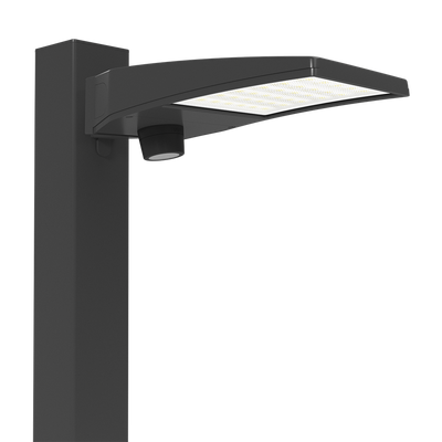 RAB Lighting ALEDXS Area Light, 32/24/16W, CCT Selectable, Adjustable Photocell, Microwave Sensor, LightCloud Blue, Bronze, ALEDXS/LCBS/MVS