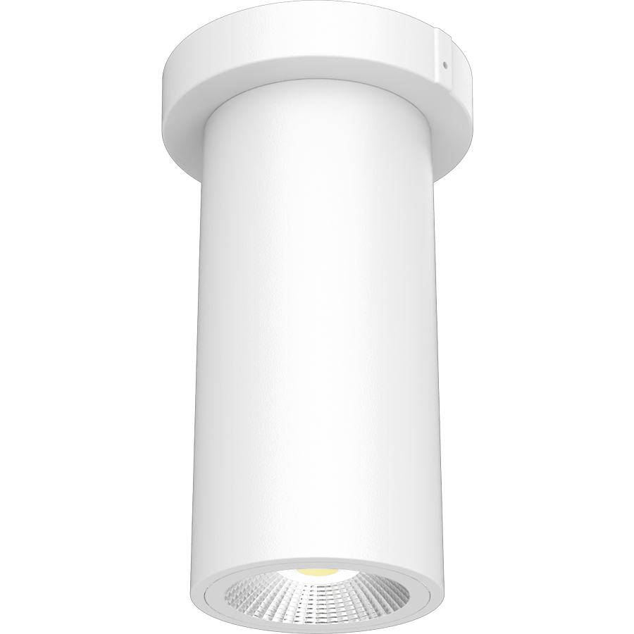 RAB Lighting CD34 Cylinder, 10/8/6W, CCT Selectable, CRI90, 3 In., Surface/Pendant, White, CD34-3SPW