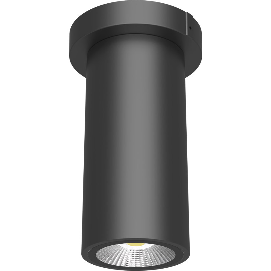 RAB Lighting CD34 Cylinder, 10/8/6W, CCT Selectable, CRI90, 3 In., Surface/Pendant, Bronze, CD34-3SPZ