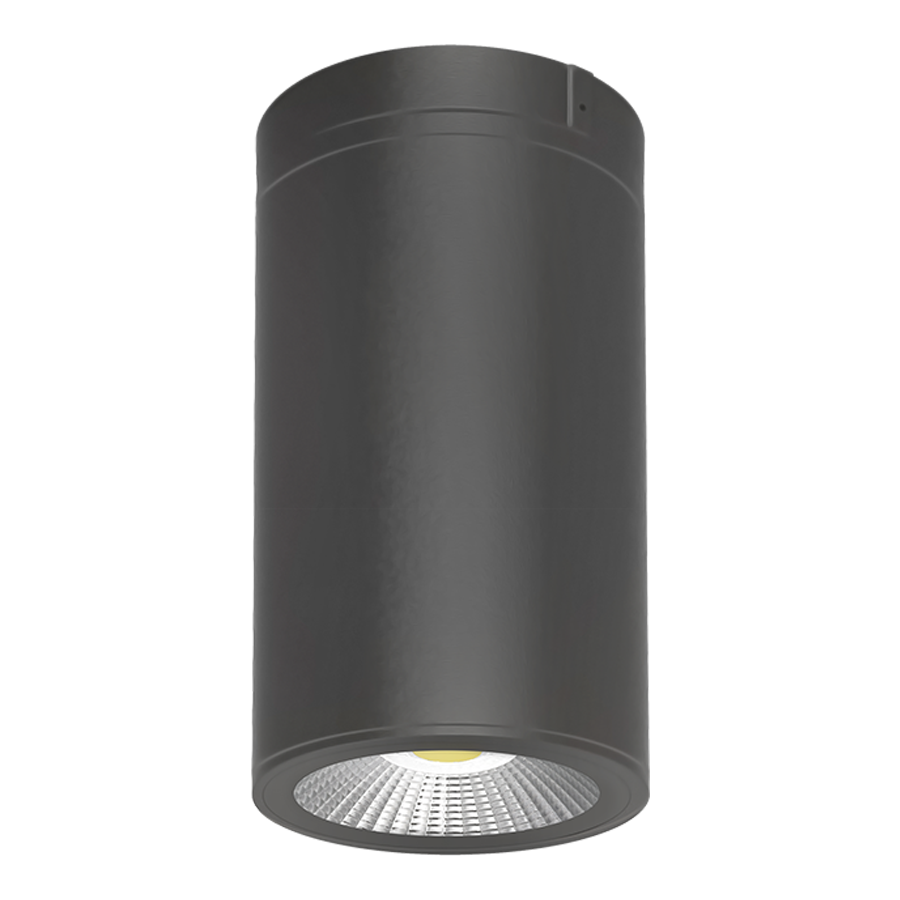 RAB Lighting CD34 Cylinder Light, 20W, RGB 2200K-6500K, CRI90, Surface/Pendant, Bronze, CD34-4SPZ/RGB