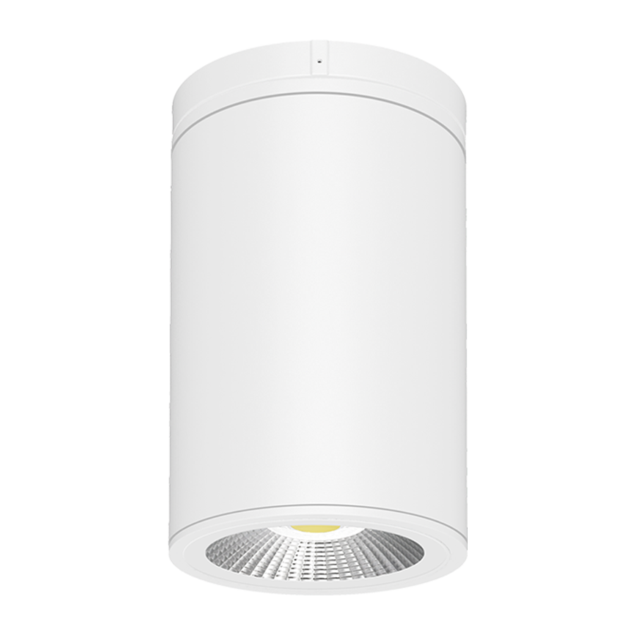 RAB Lighting CD34 Cylinder, 30/24/18W, CCT Selectable, CRI90, 120-277V, Surface/Pendant, White, CD34-6SPW
