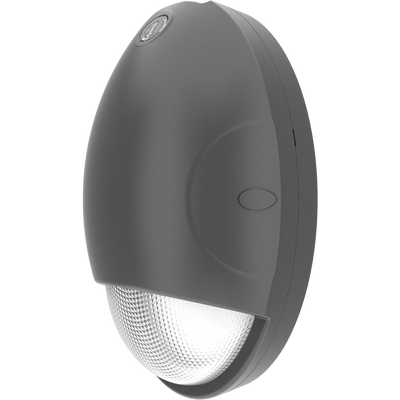 RAB Lighting Teardrop Mini Wall Pack, 15W, CCT Selectable, 120-277V, Bronze, DROP