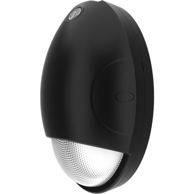 RAB Lighting Teardrop Mini Wall Pack, 15W, CCT Selectable, 120-277V, Black, DROPB