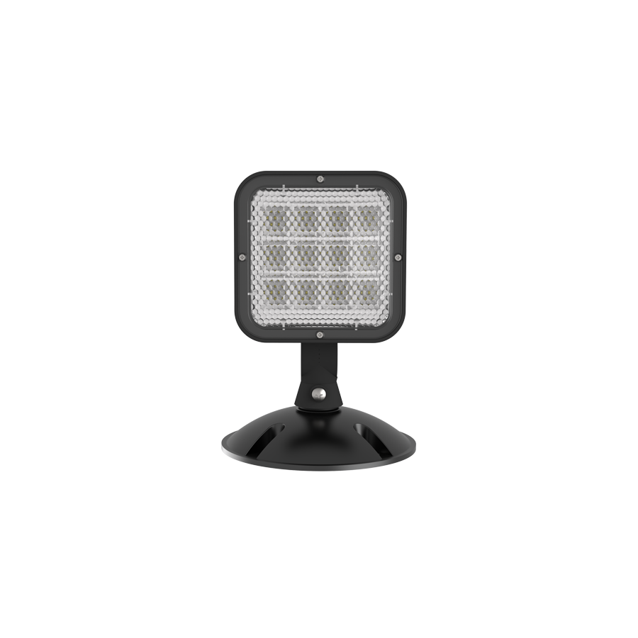 RAB Lighting Emergency Remote Heads, 1-Head Outdoor, Black, EREMOTEOUT-1B
