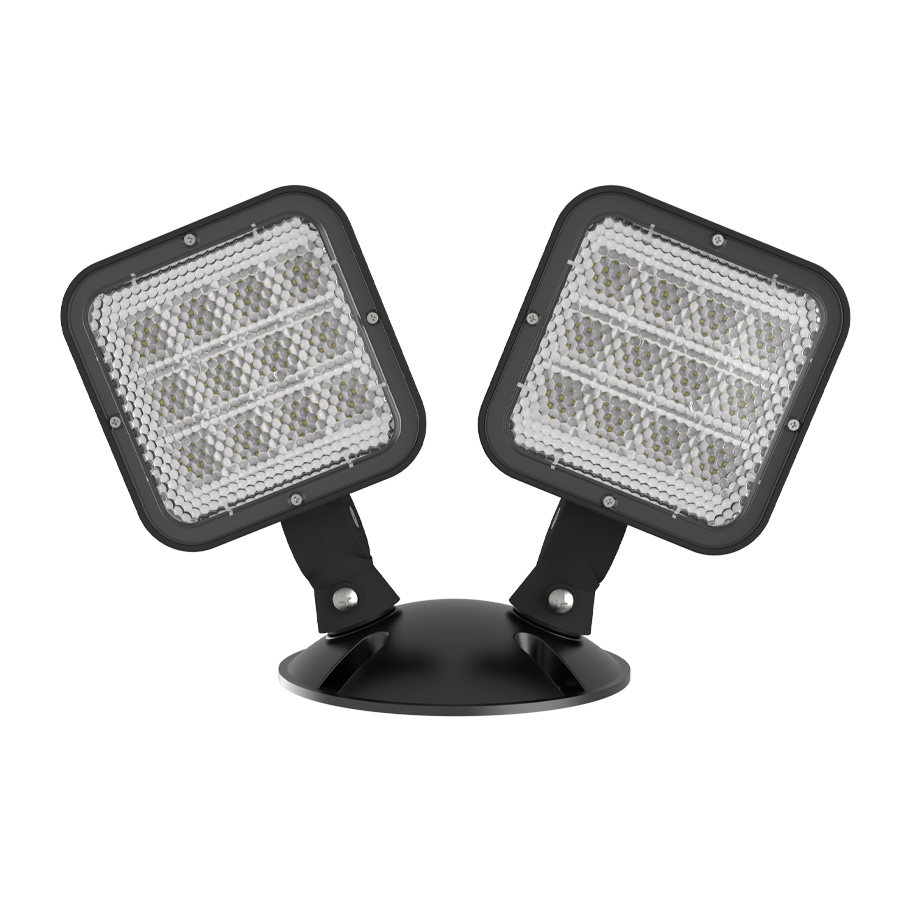 RAB Lighting Emergency Remote Heads, 2-Head Outdoor, Black, EREMOTEOUT-B