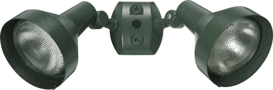 RAB Lighting Dual Head PAR Flood Kit, Bell Hood, 120V, Verde Green, H2VG