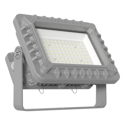 RAB Lighting HAZFX Flood Light, 200W, 5000K, 480V, Yoke Mount, Gray, HAZFX200/480