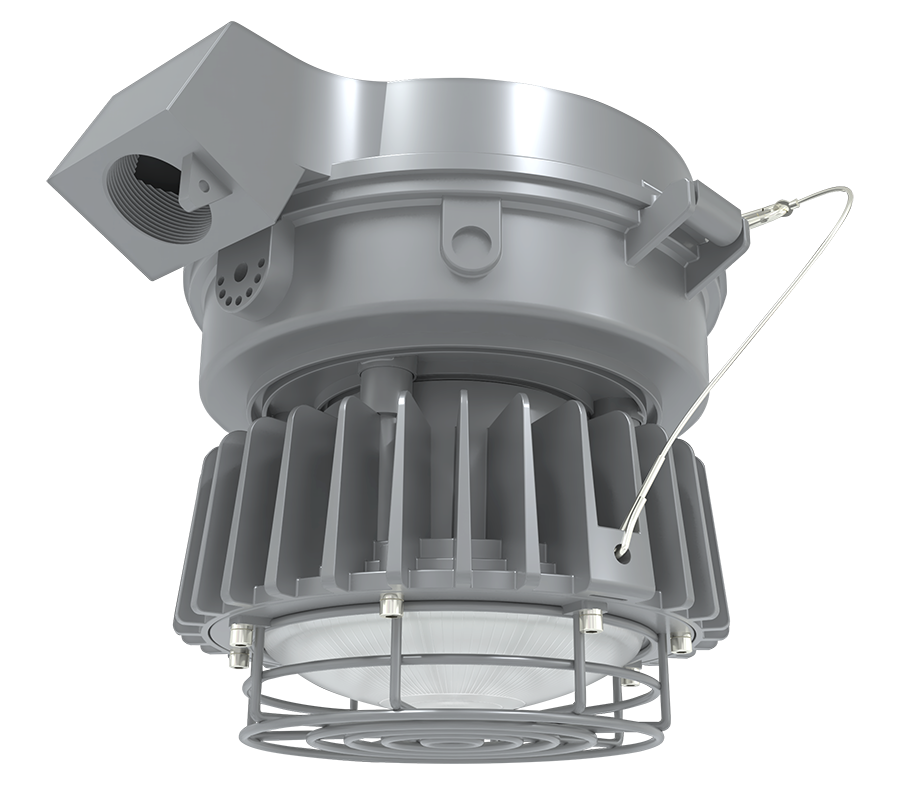 RAB Lighting Hazardous Location Stanchion Light, 60W, 5000K, Frost Globe, Gray, HAZLED60SFG
