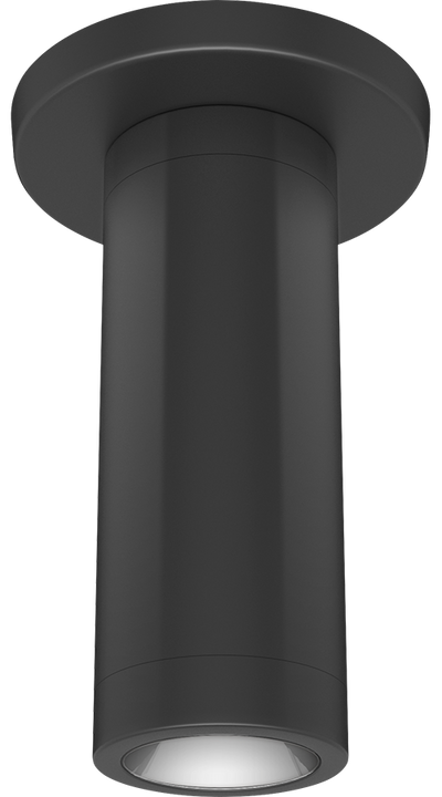 RAB Lighting CDLED2S 10W, 4000K, CRI90, 2 In. Surface Mount, Bronze, CDLED2S-10W-30D940-Z