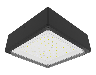 RAB Lighting 10 Watt LED Canopy Light, Drop Lens, 5000K, 1,971 Lumens, 120-277V, Bronze, VANLED10